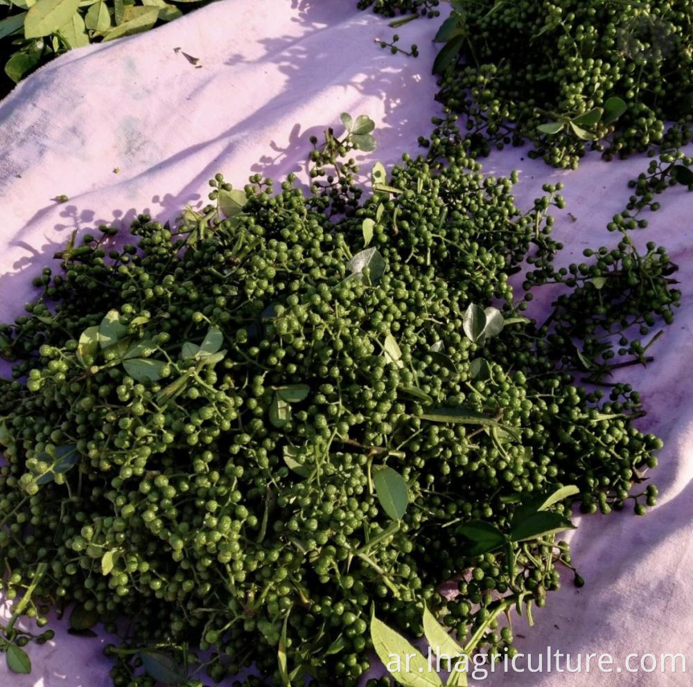 Dry Green Pepper